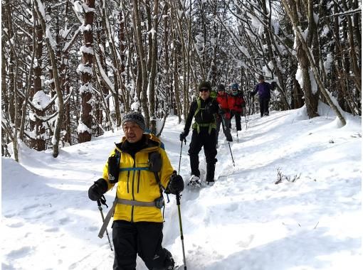 【秋田・白神山地】森のプロがご案内・白神スノートレッキング！雪のブナたちの息吹を見るの画像