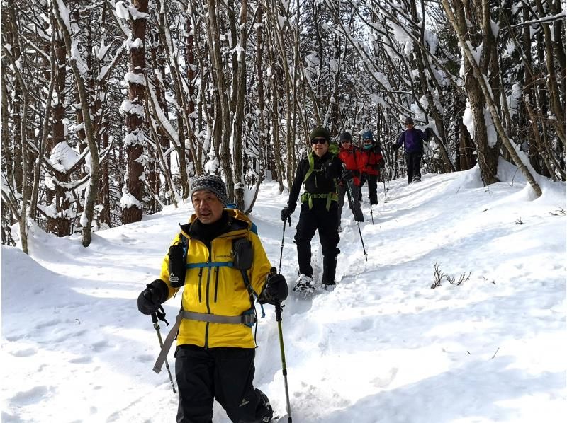 【秋田・白神山地】森のプロがご案内・白神スノートレッキング！雪のブナたちの息吹を見るの紹介画像