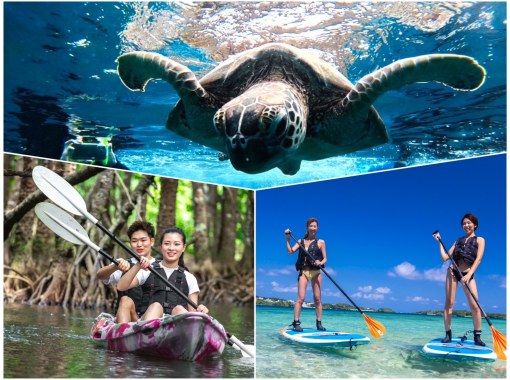 [Ishigaki Island/1 day] Very popular course! Complete Ishigaki Island plan (Kabira Bay SUP/canoeing + Blue Cave snorkeling + Mangrove SUP/canoeing)の画像