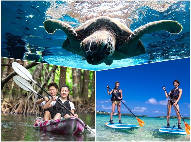 [Ishigaki Island/1 day] Very popular course! Complete Ishigaki Island plan (Kabira Bay SUP/canoeing + Blue Cave snorkeling + Mangrove SUP/canoeing)の紹介画像