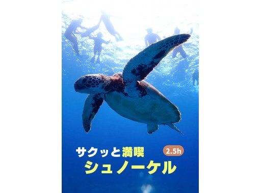 冬季割！【石垣島・2.5h】船酔い心配な方向け少人数制ウミガメシュノーケル－空き時間にウミガメ会いに行こう！遭遇率90%の画像