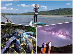 [西表島/下午]紅樹林和星空保護區的壯麗景色套餐！紅樹林SUP/獨木舟與叢林夜遊[免費照片資料]