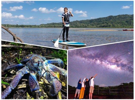 [Iriomote Island/Afternoon] A spectacular set plan of mangrove forests and starry sky sanctuaries! Mangrove SUP/Canoe & Jungle Night Tour [Free photo data]の画像