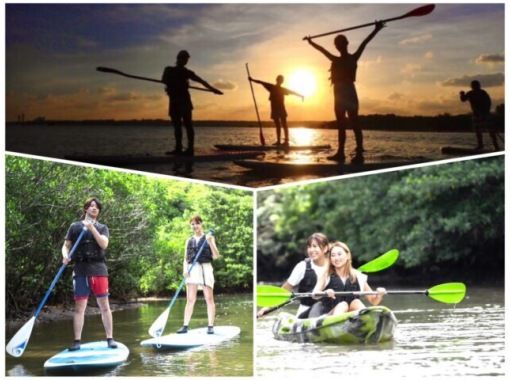 [Iriomote Island/Afternoon] Enjoy mangrove cruising and sunset on two rivers! Mangrove & Sunset SUPor Canoeの画像