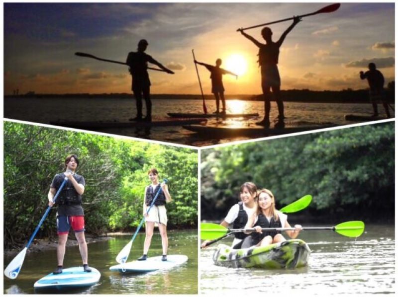 [Iriomote Island/Afternoon] Enjoy mangrove cruising and sunset on two rivers! Mangrove & Sunset SUPor Canoeの紹介画像