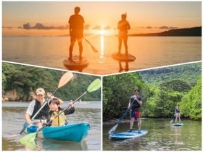 [Iriomote Island/Early Morning] Enjoy the classic Iriomote Island sights from early in the morning! Sunrise & Mangrove SUP or Canoe