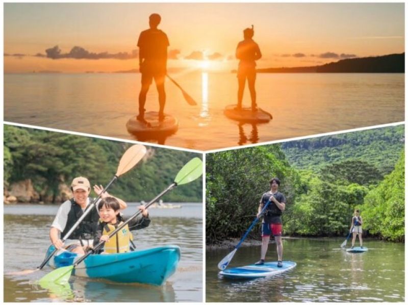 [Iriomote Island/Early Morning] Enjoy the classic Iriomote Island sights from early in the morning! Sunrise & Mangrove SUP or Canoeの紹介画像