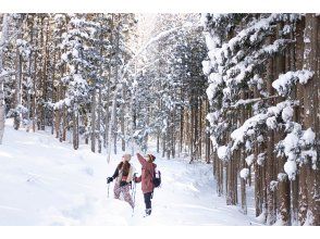 [Niigata Prefecture, Echigo Yuzawa] [Pick-up available] [Private] Snowshoe experience with photo shoot! [Professional photographer included!] [Hot spring ticket included!]