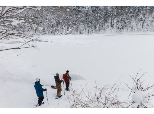 【北海道・ニセコ・２時間】冬の大自然をわくわく探検スノーシュー体験！ゆったり白銀の世界を歩いてみよう♪写真データは無料でプレゼント♪の画像