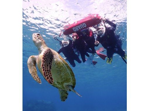 [First in the marine industry] ⭐️Former USJ dancer⭐️️Professional entertainer! Handsome tour guide! [Limited to one group for exclusive use] Sea turtle snorkeling tour!の画像