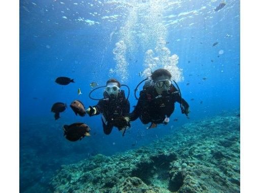 [Okinawa Blue Cave] If you can't go to the Blue Cave, you'll get a full refund. Private diving experience plan: A completely private service for families, couples, or groups of friends!の画像