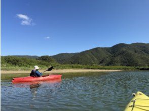 【鹿児島・奄美大島】金作原原生林とマングローブカヌーツアー（オプションで貸切も可）