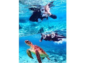 [Miyakojima/same-day reservations OK!!] [Student support discounts available!!] 100% encounter rate continues!! Sea turtle snorkeling!! Incredible photography skills!!