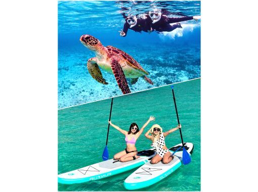 [Miyakojima/same-day reservations OK!!] [Student support discounts available!!] 100% encounter rate continues!! Sea turtle snorkeling!! Incredible photography skills!!の画像