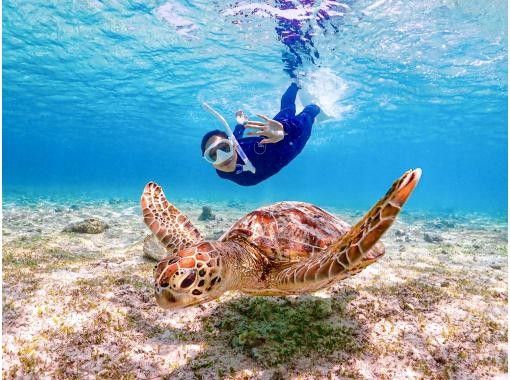 [Miyakojima/same-day reservations OK!!] [Pick-up and drop-off available] For ages 1 to 70!! Sea turtle snorkeling!! We have a plan that is very popular with families!!の画像