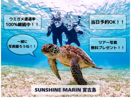 [Miyakojima/same-day reservations OK!!] [Great student discounts available!!] 100% encounter rate continues!! Sea turtle snorkeling!! Use a snorkel mask that looks great on social media♪の画像