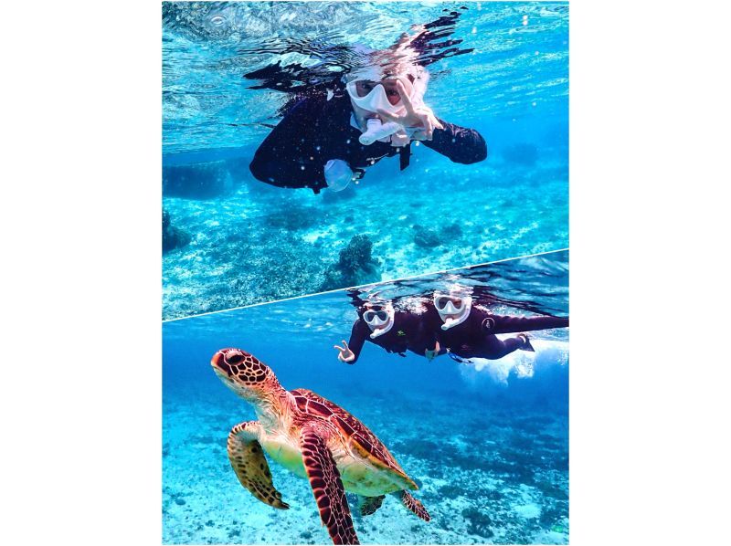 [Miyakojima/same-day reservations OK!!] [Limited time only!! Pick-up service included!!] High chance of meeting sea turtles!! Snorkeling with amazing photography skills!!の紹介画像