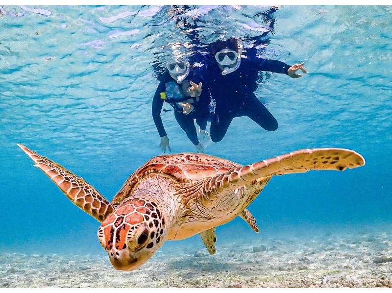 【宮古島/可接送】【當天預約OK！ /1歲～70歲】100%有機會邂逅海龜的浮潛！使用最新的水下相機拍攝！の紹介画像