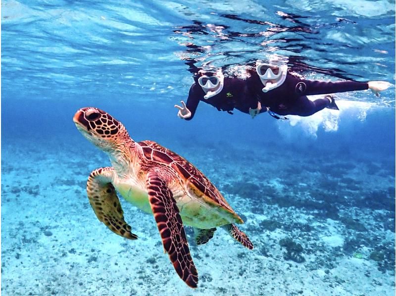 [Miyakojima/same-day reservations OK!!] [Student support discounts available!!] 100% encounter rate continues!! Sea turtle snorkeling!! Incredible photography skills!!の紹介画像