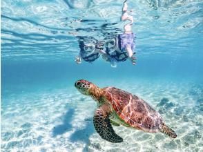 【宮古島 | 接送服務】★冬季特惠★ 接受當日預約 {1-70歲} 與清澈無比的海龜和尼莫一起浮潛