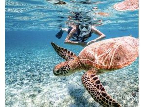 【宮古島｜送迎可能】★Winter Sale★当日予約OK《1歳~70歳対象》透明度抜群ウミガメ＆ニモのシュノーケリング