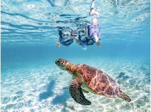 【宫古岛 | 接送服务】★冬季特惠★ 接受当日预约 {1-70岁} 与清澈无比的海龟和尼莫一起浮潜の画像