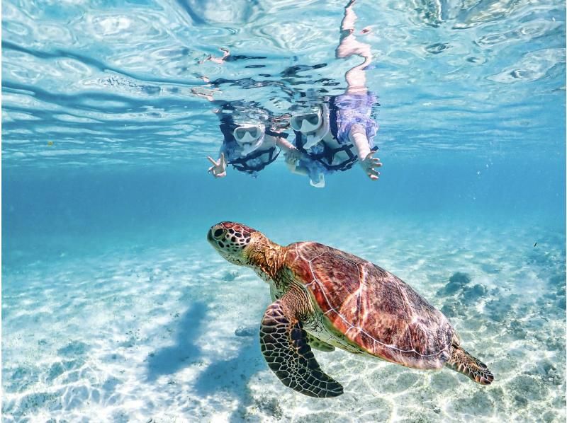 【北海道・SUP体験】透明度の高い支笏湖の湖面をクルージング！SUP体験（半日コース）の画像