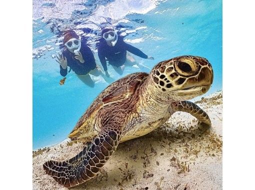 [Okinawa, Miyakojima] Opening sale ★ Very popular snorkeling plan! No. 1 in popularity ★ Use a snorkel mask that looks great on social media! High chance of seeing sea turtles!の画像