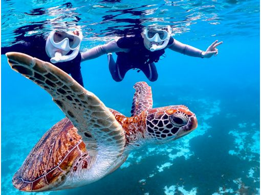 [Okinawa, Miyakojima] {Happy student discount available!!} 100% encounter rate continues!! Sea turtle snorkeling!! Use a snorkel mask that looks great on social media♪の画像