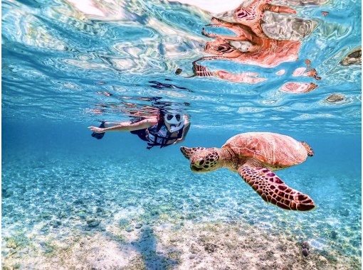 [Okinawa, Miyakojima] Pick-up available [Reservations on the day OK!! / Ages 1 to 70] Sea turtle snorkeling with a 100% chance of encountering them! Filmed with the latest underwater camera!の画像