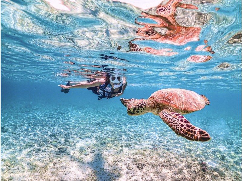 [Okinawa, Miyakojima] Pick-up available [Reservations on the day OK!! / Ages 1 to 70] Sea turtle snorkeling with a 100% chance of encountering them! Filmed with the latest underwater camera!の紹介画像