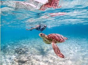 SUNSHINE MARIN 宮古島