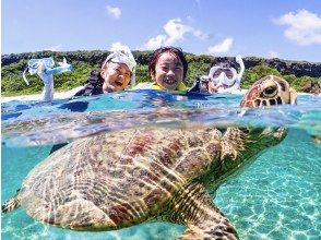 【沖縄/宮古島/送迎可】《1歳~70歳》遭遇100％で透明度抜群ビーチ｜ウミガメ＆ニモのシュノーケリング＜高画質データ＞