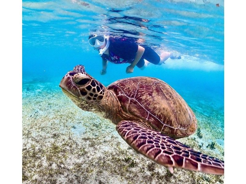 [Okinawa, Miyakojima] Opening sale ★ Very popular snorkeling plan! No. 1 in popularity ★ Use a snorkel mask that looks great on social media! High chance of seeing sea turtles!の紹介画像