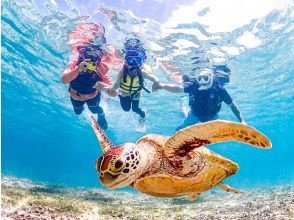 [Miyakojima | Pick-up available] ★Winter Sale★ Same-day reservations accepted {Ages 1-70} Snorkel with sea turtles and Nemo at a beach with exceptional clarity