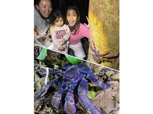 [Miyakojima/Night Tour] Recommended for families! Same-day reservations accepted! Search for endangered coconut crabs! Starry sky jungle night tour!!の画像