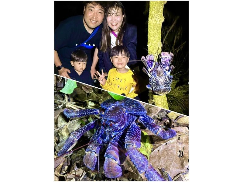 【宮古島/ナイトツアー】家族にオススメ！当日予約OK！星空満点ジャングルナイトツアー！お子様限定でオリジナルのヤシガニメダルプレゼント！！の紹介画像