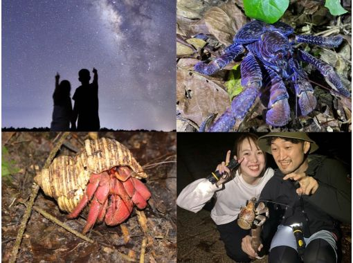 [Miyakojima/same-day reservations OK!!] Very popular with families!! ★Miyakojima Starry Sky Jungle Night Tour★の画像