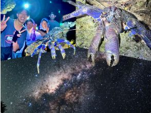 ANA지 게재 【가족 할인 ★대호평】 0세~85세★ 튀어나오는 야자게 99.99% 조우율! 어른도 대흥분 ★ 은하수 만점의 별 관찰 ★ 당일 예약 OK / 송영 무료