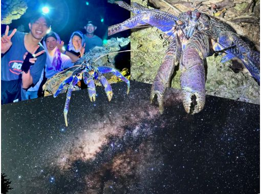 ANA 잡지 게재 【99.99 %! 대인기의 야자 게 경이의 조우율!】 절대로 야시가니를 보고 싶은 아이 필견の画像