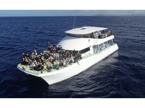 ☆午後便限定がお得☆【那覇発】ホエールウォッチング♪1人1席確約！全席前方向きシートで快適☆写真プレゼント