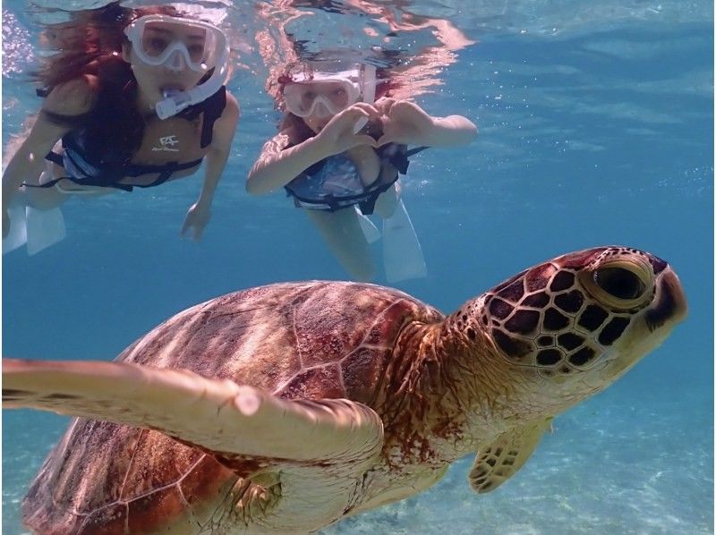 【北海道・SUP体験】透明度の高い支笏湖の湖面をクルージング！SUP体験（半日コース）の画像