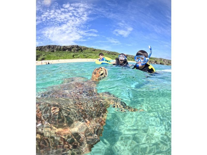 A hot topic on social media: SUNDOGS "Guided by former members of the Self-Defense Forces and former lifeguards! Highly safe and satisfying sea turtle snorkeling [100% encounter rate continues]"の紹介画像