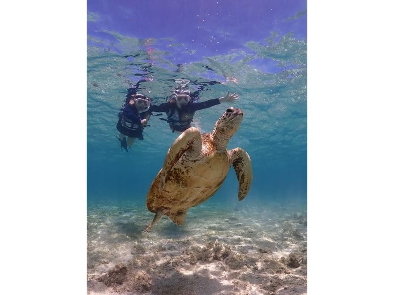 [Miyakojima - Same-day reservations accepted] The best value snorkeling experience! 100% chance of encountering sea turtles! Free photo data and rental items! Come empty-handed!の紹介画像