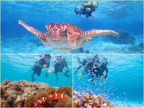 宮古島/送迎可能【1組限定/1歳〜】ウミガメと過ごす特別な2時間！完全貸切でプライベートシュノーケリング！写真データ増量！・お子様大歓迎！