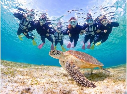 沖縄県・宮古島【1組限定】ウミガメと過ごす特別な2時間！完全貸切プライベートシュノーケリング！の画像
