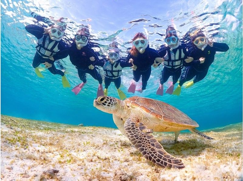 沖縄県・宮古島【1組限定】ウミガメと過ごす特別な2時間！完全貸切プライベートシュノーケリング！の紹介画像