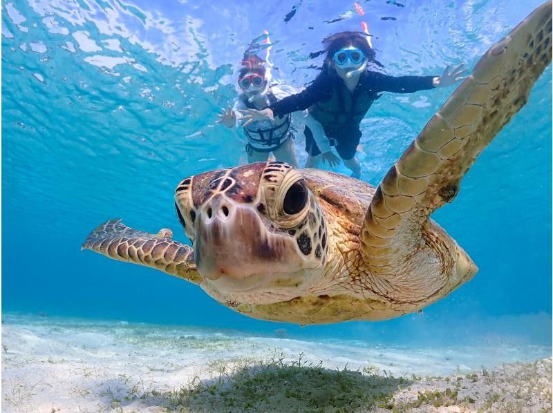 【北海道・SUP体験】透明度の高い支笏湖の湖面をクルージング！SUP体験（半日コース）の画像