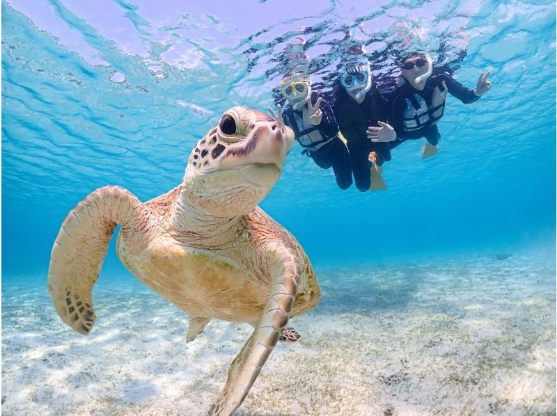 【北海道・SUP体験】透明度の高い支笏湖の湖面をクルージング！SUP体験（半日コース）の画像