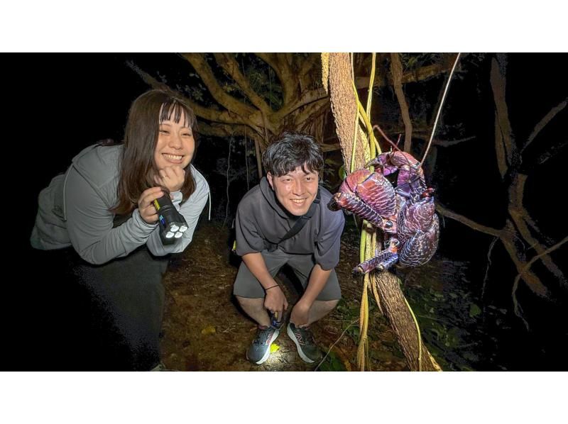 [Okinawa Miyakojima Night Jungle Tour] Coconut Crab Expedition! A mysterious night adventure to search for wild animals that only appear at night!の紹介画像